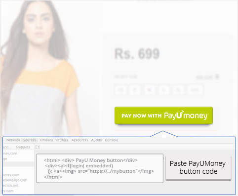 Online_Payment_Solution_Payment_Button